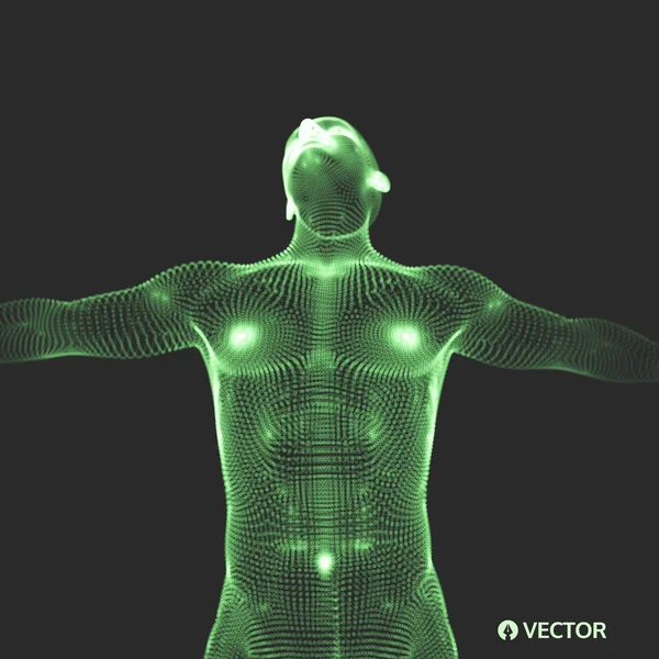 Modelo 3D do Homem. Corpo Humano. Elemento de design. Ilustração vetorial — Vetor de Stock