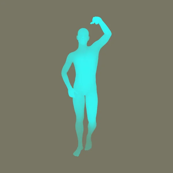 Hombre de pie. Modelo de cuerpo humano 3D. Elemento de diseño. El hombre se pone de pie. Ilustración vectorial . — Archivo Imágenes Vectoriales