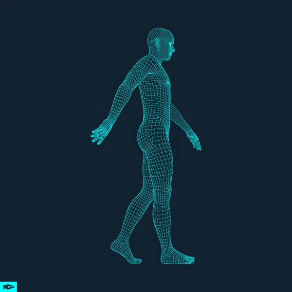 Gehender Mann. 3D-Modell des menschlichen Körpers. geometrisches Design. menschlicher Körper Draht Modell. Vektorillustration. — Stockvektor