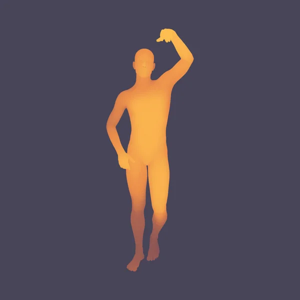 Stehender Mann. 3D-Modell des menschlichen Körpers. Gestaltungselement. Der Mensch steht auf seinen Füßen. Vektorillustration. — Stockvektor