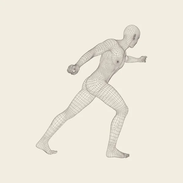 Fighter. 3D Model of Man. Human Body. Sport Symbol. Design Element. Vector Illustration. — Stock Vector
