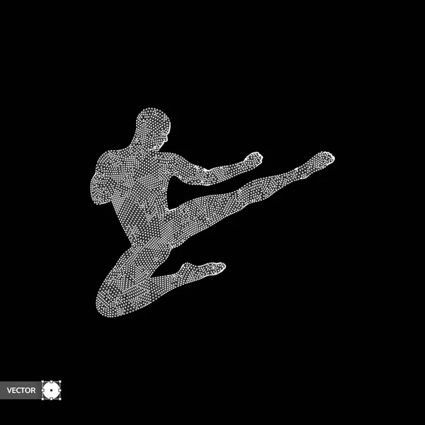 Καράτε και kung fu. Άλμα λάκτισμα καράτε. Μαχητής. 3D μοντέλο του ανθρώπου. Σύμβολο του αθλητισμού. Στοιχείο του σχεδιασμού. Ασιατικές πολεμικές τέχνες. Εικονογράφηση διάνυσμα. — Διανυσματικό Αρχείο