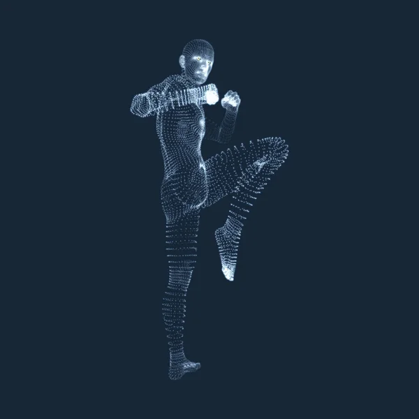 Kickbox Fighter Preparando-se para Executar um Chute Alto. Fitness, Esporte, Treinamento e Conceito de Artes Marciais. Modelo 3D do Homem. Corpo Humano. Elemento de design. Ilustração vetorial . —  Vetores de Stock