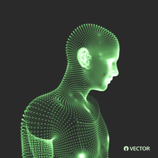 3D-s modellje Man. emberi test. Díszítőelemet. Vektoros illusztráció — Stock Vector