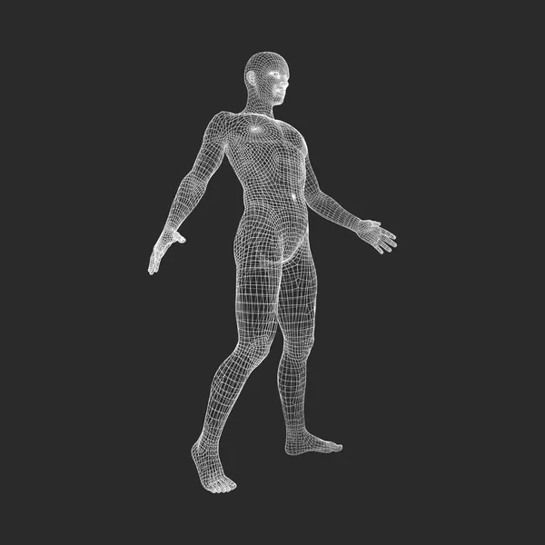 Mann steht auf seinen Füßen. 3D-Modell des Menschen. geometrisches Design. 3D polygonale Deckhaut. menschlicher Körper Draht Modell. Vektorillustration. — Stockvektor