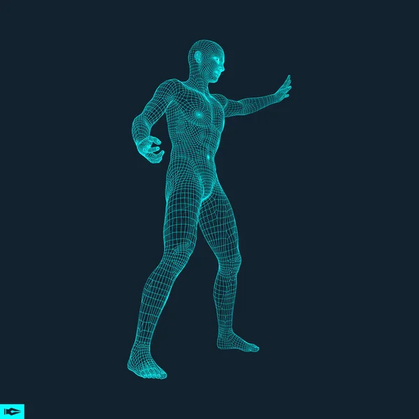 Modelo 3D del Hombre. Diseño poligonal. Diseño geométrico. Ilustración vectorial de negocios, ciencia y tecnología. Piel de revestimiento poligonal 3d. Cuerpo Polígono Humano. Modelo de alambre de cuerpo humano . — Vector de stock