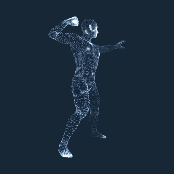 Hombre Combatiente. Modelo 3D del Hombre. Modelo de cuerpo humano. Escaneo corporal. Vista del cuerpo humano. Gráficos vectoriales compuestos de partículas . — Vector de stock