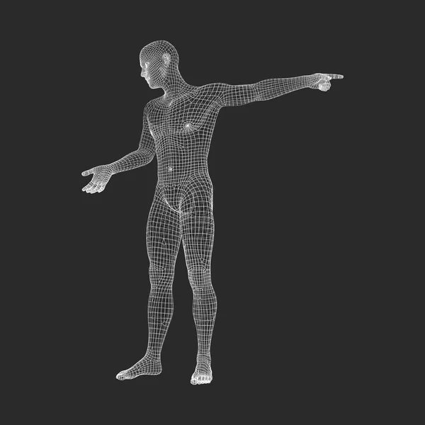 남자는 그의 손가락을 가리키는입니다. 남자 기하학적 디자인의 3d 모델입니다. 벡터 일러스트입니다. 3d 다각형 덮 음 피부입니다. 인간의 다각형 몸입니다. 인체 와이어 모델. — 스톡 벡터