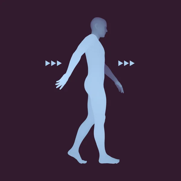 Caminante. Modelo de cuerpo humano 3D. Elemento de diseño. Ilustración vectorial . — Archivo Imágenes Vectoriales