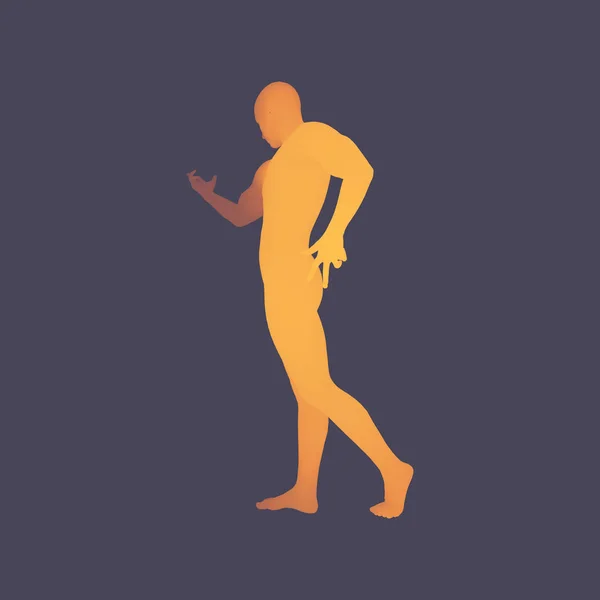 Hombre presentando algo. Modelo de cuerpo humano 3D. Elemento de diseño. El hombre se pone de pie. Ilustración vectorial . — Archivo Imágenes Vectoriales