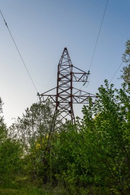 Ormanın içinde güç hattı