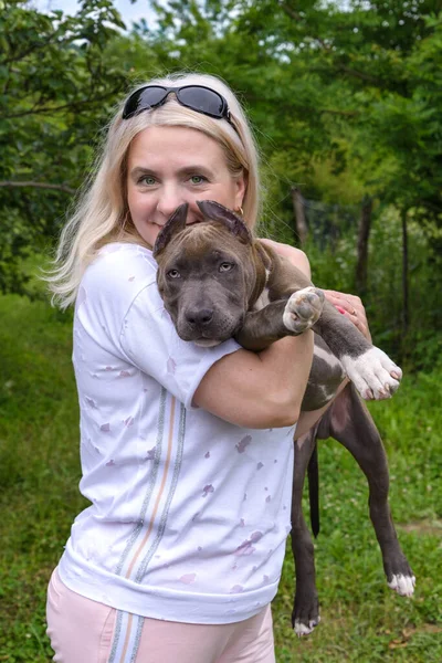 Rubia Sostiene Sus Brazos Cachorro Del American Staffordshire Terrier — Foto de Stock