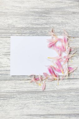 Çiçek, yaprakları ve kopya alanı kartı not ile yaratıcı düzeni. Doğa kavramı. Düz yatıyordu. peonies ve boş kartı ile çiçek kompozisyon