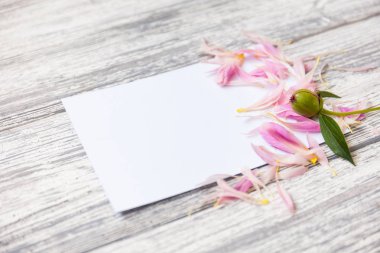 Çiçek, yaprakları ve kopya alanı kartı not ile yaratıcı düzeni. Doğa kavramı. Düz yatıyordu. peonies ve boş kartı ile çiçek kompozisyon