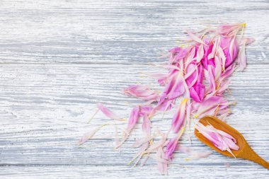 pembe şakayık yaprakları rustik bir arka plan üzerinde tahta kaşıkla. Alan, üstten görünüm kopyalayın. Çiçek kompozisyon.