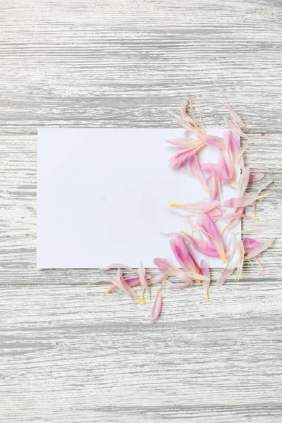 Çiçek, yaprakları ve kopya alanı kartı not ile yaratıcı düzeni. Doğa kavramı. Düz yatıyordu. peonies ve boş kartı ile çiçek kompozisyon