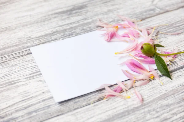Çiçek, yaprakları ve kopya alanı kartı not ile yaratıcı düzeni. Doğa kavramı. Düz yatıyordu. peonies ve boş kartı ile çiçek kompozisyon