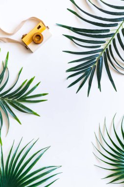 Seyahat Aksesuarları. Tropikal palmiye yaprağı dalları kopya alanı metin için beyaz zemin üzerine. Seyahat tatil kavramı. Yaz arka plan. Düz yatıyordu, en iyi görünümü.