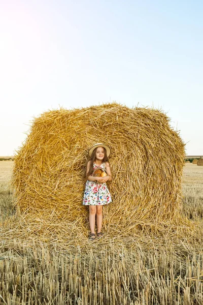 Sevimli kız mutlu bir şekilde yürürken buğday alanında sıcak ve güneşli yaz akşamı hasır şapka giyiyor. Sevimli küçük çocuk çavdar alanında günbatımı ile ekmek sepeti.