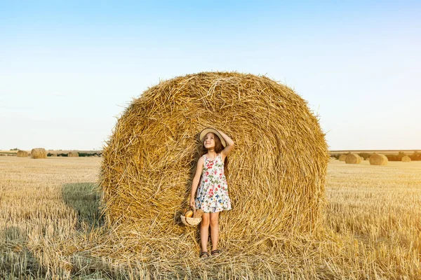 Sevimli kız mutlu bir şekilde yürürken buğday alanında sıcak ve güneşli yaz akşamı hasır şapka giyiyor. Sevimli küçük çocuk çavdar alanında günbatımı ile ekmek sepeti.