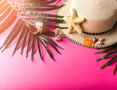 Seyahat Aksesuarları, tropikal palmiye yaprağı ile metin için boş yer pembe arka plan üzerinde dalları. Seyahat tatil kavramı. Yaz arka plan. Düz yatıyordu, en iyi görünümü.