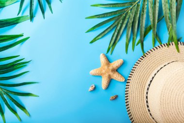 Seyahat Aksesuarları, tropikal palmiye yaprağı metin için boş alan ile mavi arka plan üzerinde dalları. Seyahat tatil kavramı. Yaz arka plan. Düz yatıyordu, en iyi görünümü.