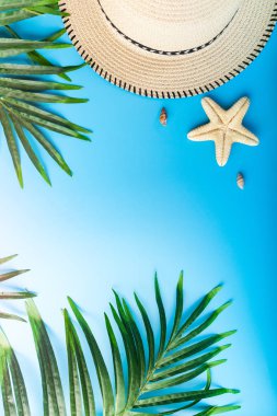 Seyahat Aksesuarları, tropikal palmiye yaprağı metin için boş alan ile mavi arka plan üzerinde dalları. Seyahat tatil kavramı. Yaz arka plan. Düz yatıyordu, en iyi görünümü.