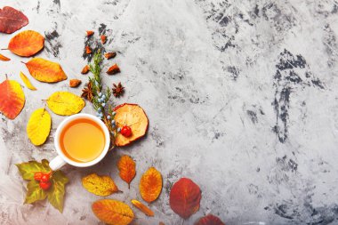çay ya da kahve Kupası ile karanlık sonbahar natürmort desen çilek elma anason yıldız çam yaprakları gri arka plan üzerinde