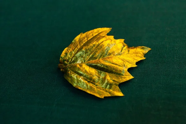 Golden real Autumn Leaf. Decoration element for design wedding cards, valentines day, greeting cards on Green textured background
