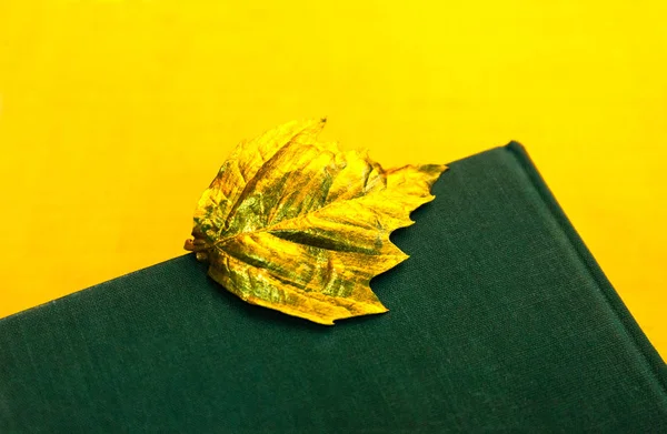 Golden Real Autumn Leaf Textured Yellow Green Background Copy Space — Stock Photo, Image