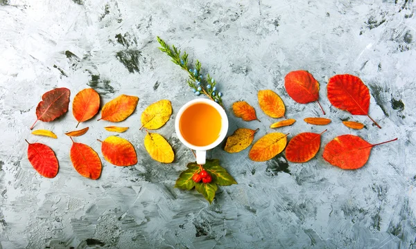 Темная Осень Натюрморт Чашкой Чая Кофе Листья Узор Ягод Яблоко — стоковое фото
