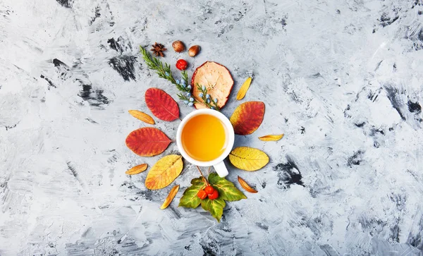 Dunkles Herbst Stillleben Mit Tee Oder Kaffeetasse Blätter Muster Beeren — Stockfoto