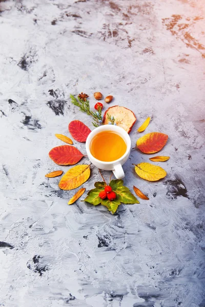 Dunkles Herbst Stillleben Mit Tee Oder Kaffeetasse Blätter Muster Beeren — Stockfoto