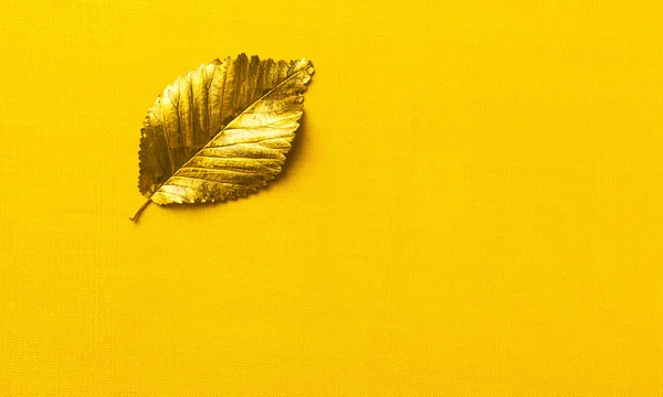 Golden real Autumn Leaf on the textured Yellow background with copy space for design wedding cards, valentines day, greeting cards