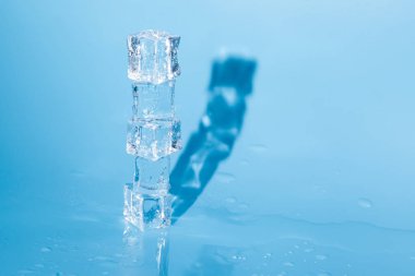 mavi zemin üzerine ıslak buz küpleri