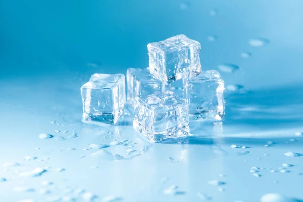 Cubos Hielo Húmedos Sobre Fondo Azul —  Fotos de Stock