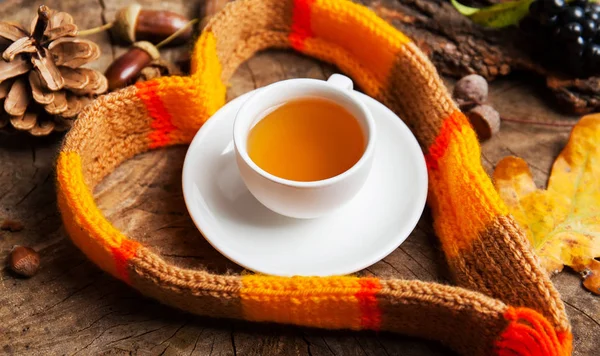 Tasse Tee Mit Warmem Strickschal Auf Dunklem Rustikalem Holztisch Mit — Stockfoto