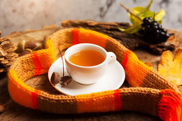 Tasse Tee Mit Warmem Strickschal Auf Dunklem Rustikalem Holztisch Mit — Stockfoto