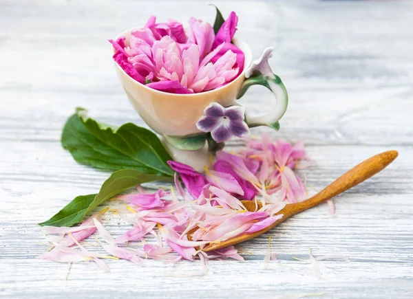 Kreatives Layout Aus Teetasse Mit Rosa Blüten Auf Rustikalem Hintergrund — Stockfoto