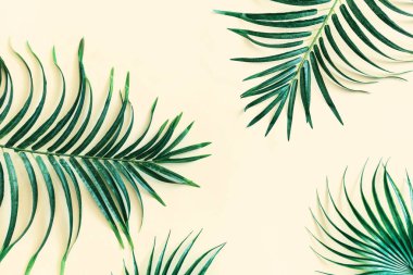 Llayout yeşil tropikal yaprakları yapılmış. En az yaz egzotik kavramı kopya alanı ile.