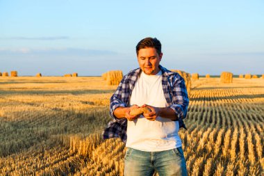 Buğday tarlasında başarılı bir tarımcı. hasat zamanı