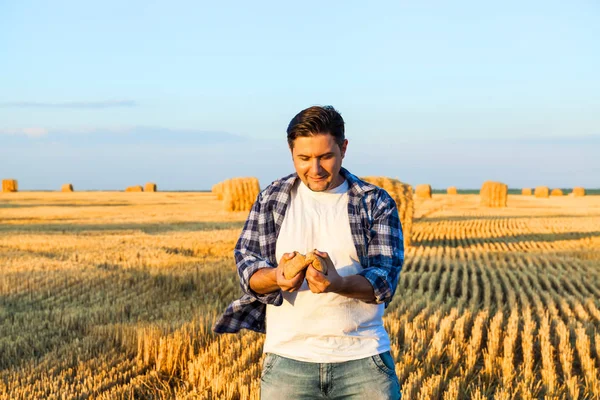 Agricultor bem sucedido no campo de trigo. hora da colheita — Fotografia de Stock