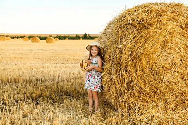 Rozkošná dívka v Žitném poli při západu slunce s košíkem chleba. — Stock fotografie