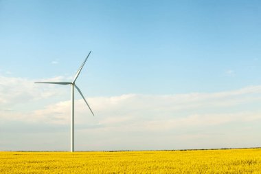 Türbin Yeşil Enerji Elektrik Teknolojisi Konsepti. Buğday tarlasında yel değirmenleri ve mavi gökyüzü