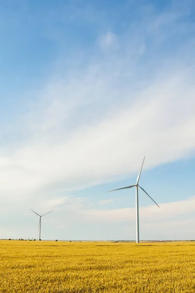 Turbine Green Energy Electricity Technology Concept. Landsape with Windmills on wheat field and blue sky