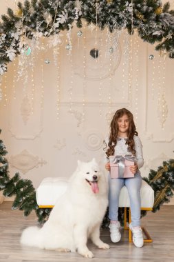 Mavi kotlu, Noel hediyeli ve samoe sosisli güzel bir stüdyoda güzel bir dekor, ladin kemeri ve Noel süslemeleri olan tatlı bir kız.