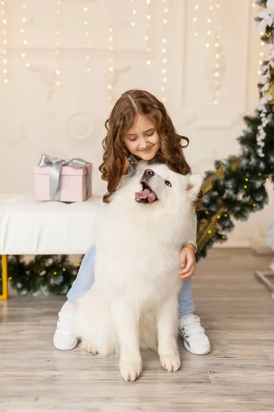 Kleines Nettes Mädchen Umarmt Amourösen Hund Einem Schönen Studio Mit — Stockfoto