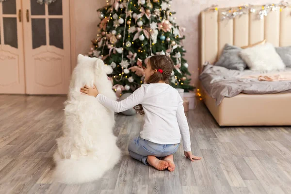 Julbarn Flicka Med Hund Samoyed Framför Julgran Jul Vinter Och — Stockfoto