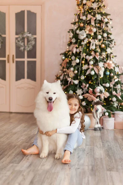 Weihnachtsmädchen Umarmen Hund Samoyed Weihnachten Winter Und Menschen Weihnachtsgrußkarte Vorhanden — Stockfoto