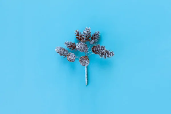 Branch Small Cones Blue Background Christmas Card — Stock Photo, Image